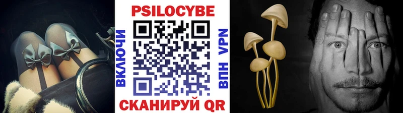 Псилоцибиновые грибы GOLDEN TEACHER  как найти закладки  Протвино 