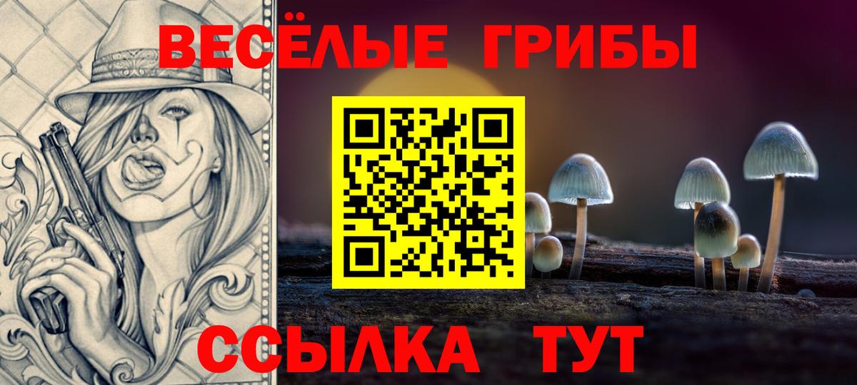 Галлюциногенные грибы GOLDEN TEACHER  Вход с VPN  Протвино 